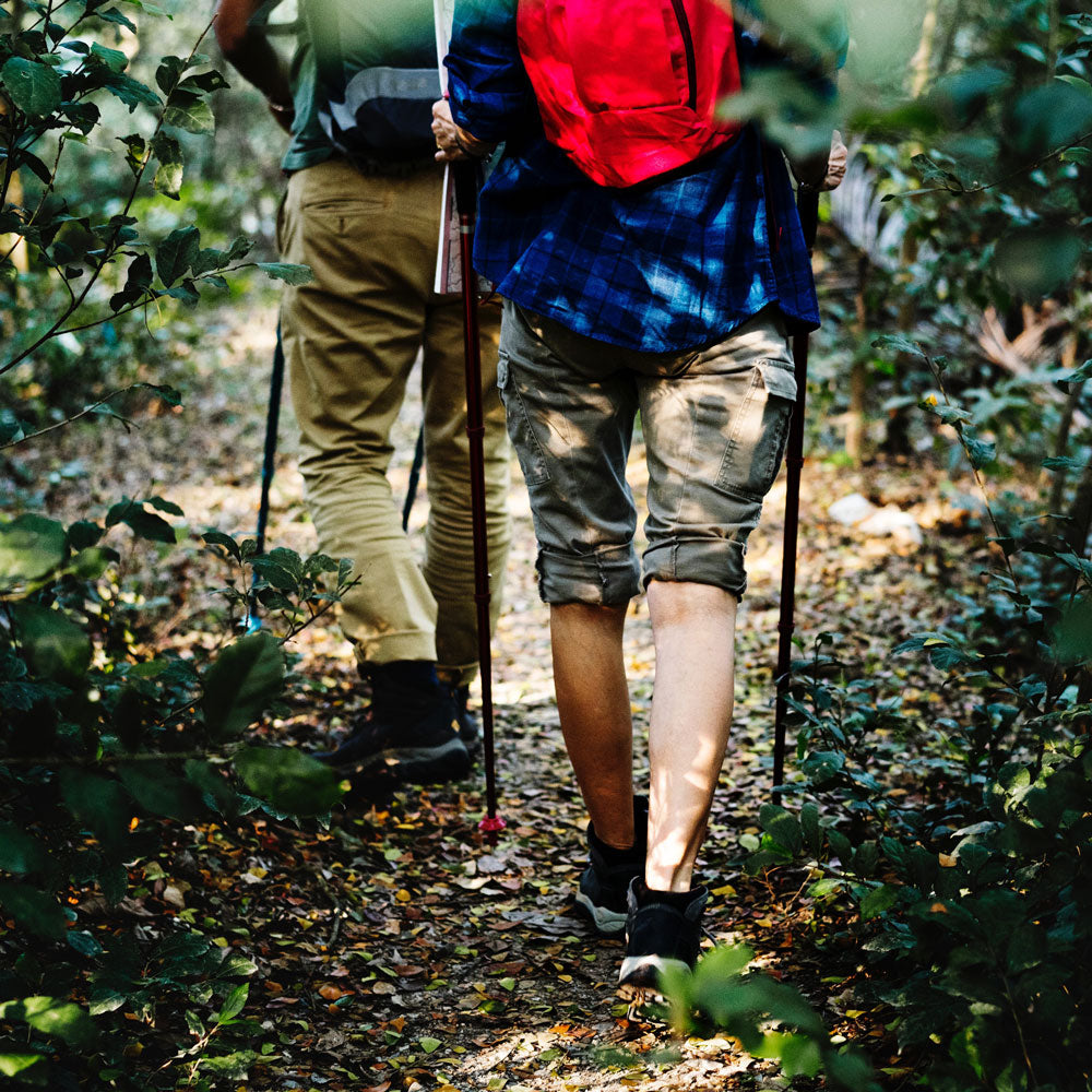 What foods to bring on your next camping trip.