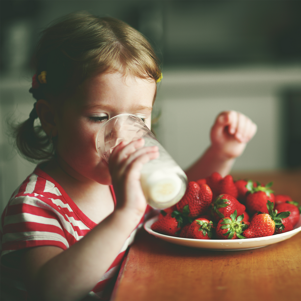 DromeDairy™ Camel Milk: What You Need to Know
