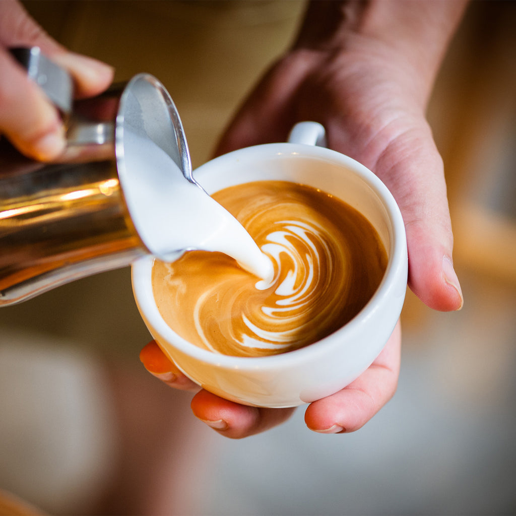 DromeDairy™: The Camel Milk Cappuccino
